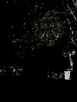 Yuky ta online show from 03-03-25, 12:01