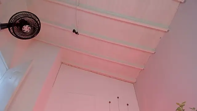 swt-booty online show from 11-19-25, 06:52