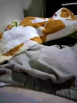 Snapshot of shiiank chatting on 05-27-26, 03:14 shiiank online show from 05-27-26, 03:14
