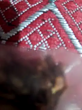 XBHUUME online show from 02-01-25, 10:59