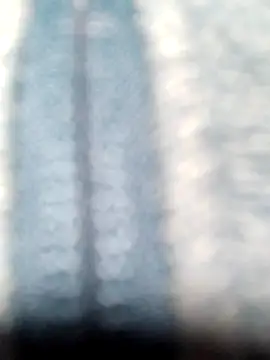 Molly newman6 online show from 03-20-26, 05:47