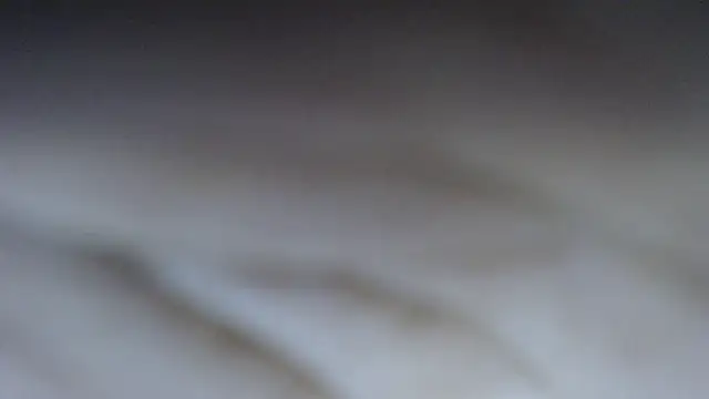 swt shadow online show from 03-04-26, 08:16