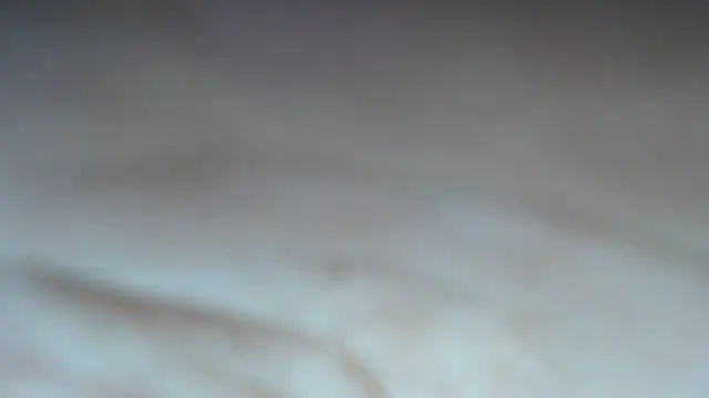 swt shadow online show from 03-06-26, 07:31