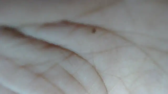 swt shadow online show from 02-15-26, 08:08