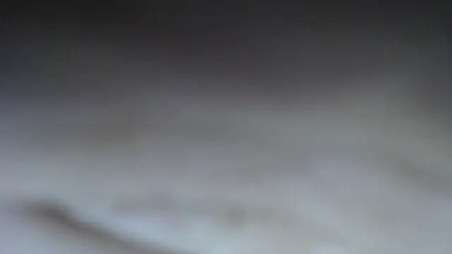 swt shadow online show from 03-15-26, 08:38