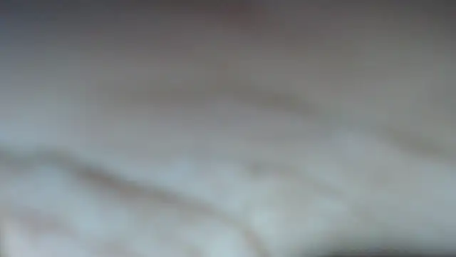 swt shadow online show from 02-08-26, 07:00