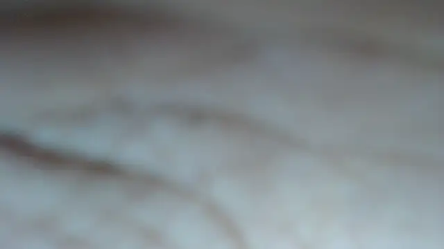 swt shadow online show from 03-05-26, 06:59