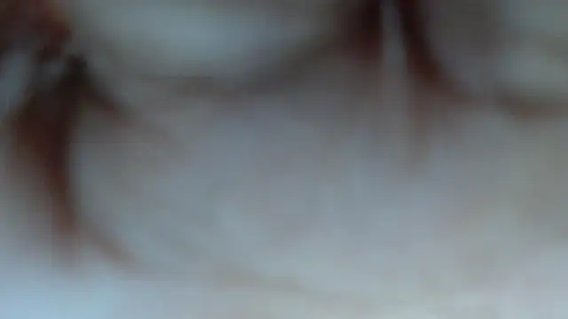 swt shadow online show from 03-12-26, 06:56