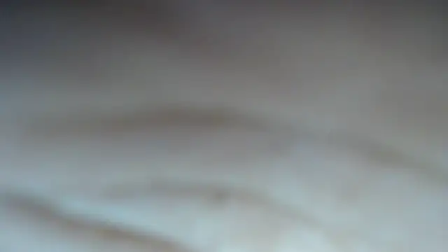 swt shadow online show from 02-24-26, 07:26