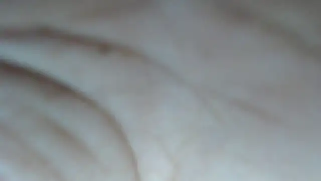 swt shadow online show from 02-14-26, 08:09