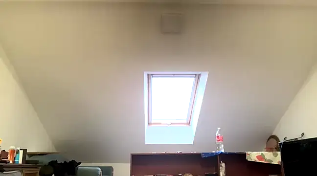 WildzMareNextLevel online show from 01-04-25, 06:52