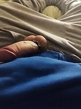 Purple Flamingo online show from 02-03-26, 08:58