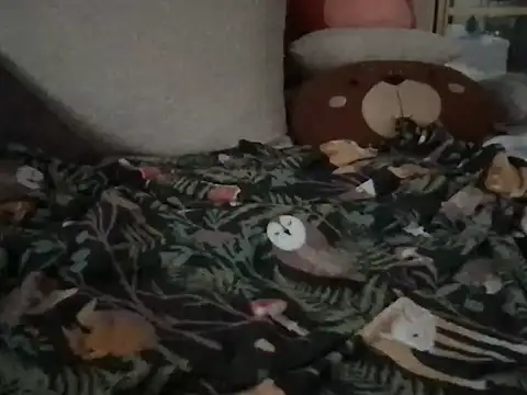 Perwers 41 online show from 11-02-25, 02:22