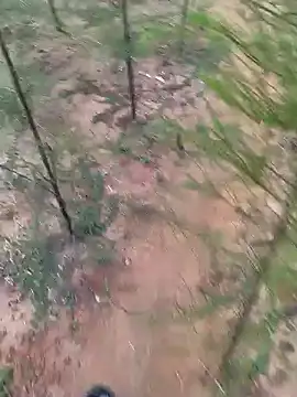 Snapshot of Gopal1243 chatting on 01-19-25, 01:53 Gopal1243 online show from 01-19-25, 01:53