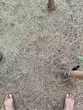 Snapshot of Gopal1243 chatting on 02-26-25, 02:19 Gopal1243 online show from 02-26-25, 02:19