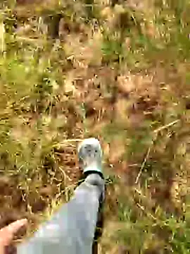 Snapshot of Gopal1243 chatting on 01-07-26, 07:57 Gopal1243 online show from 01-07-26, 07:57