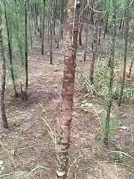 Snapshot of Gopal1243 chatting on 10-19-25, 04:48 Gopal1243 online show from 10-19-25, 04:48