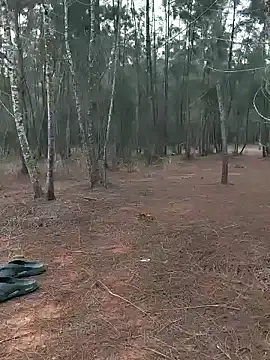 Snapshot of Gopal1243 chatting on 01-20-25, 01:18 Gopal1243 online show from 01-20-25, 01:18