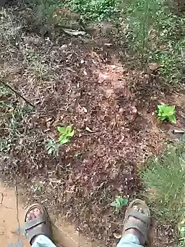 Snapshot of Gopal1243 chatting on 01-15-25, 02:27 Gopal1243 online show from 01-15-25, 02:27