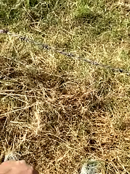 Snapshot of Gopal1243 chatting on 01-09-26, 07:59 Gopal1243 online show from 01-09-26, 07:59