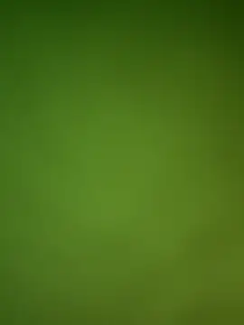 Snapshot of Gopal1243 chatting on 01-29-25, 09:12 Gopal1243 online show from 01-29-25, 09:12