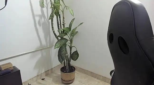 Snapshot of madelaine_blosson chatting on 03-01-25, 02:04 madelaine blosson online show from 03-01-25, 02:04
