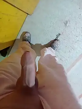 GeilerSchweizer online show from 01-29-25, 03:37