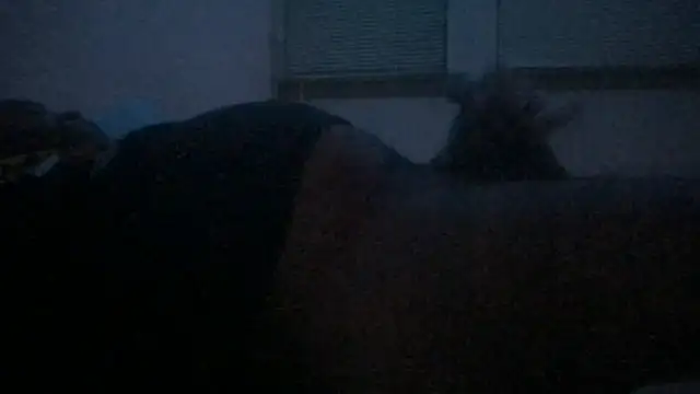 Freaky dickey online show from 12-22-25, 03:01