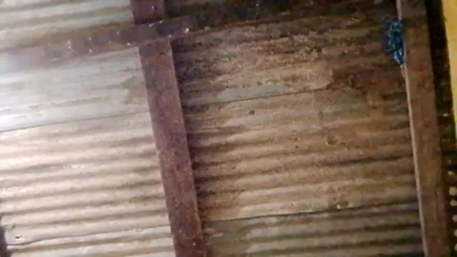 LULE37587001 online show from 02-20-26, 11:06