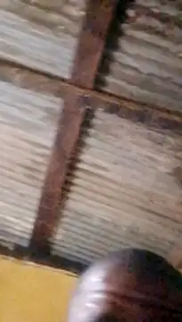 LULE37587001 online show from 03-18-26, 10:32