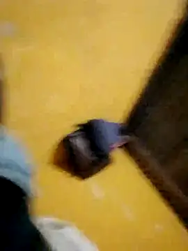 LULE37587001 online show from 11-16-25, 08:46