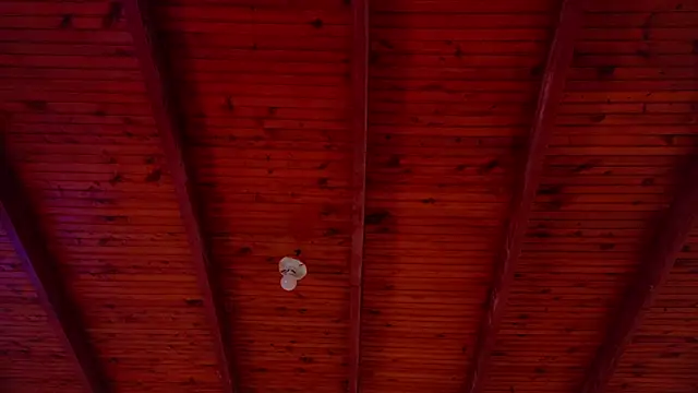 annie barozzi online show from 10-18-25, 01:24