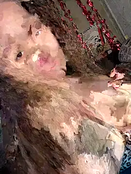 Var Kiss online show from 04-21-26, 05:14