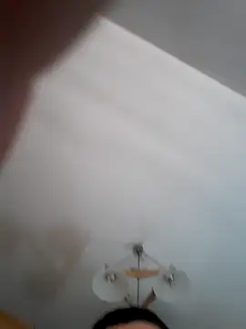 Pitbul889 online show from 11-01-25, 06:46