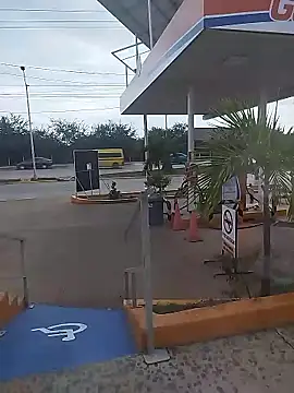 sagrado 1989 online show from 01-12-26, 10:03