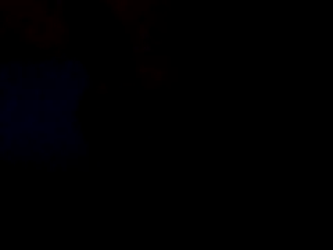 White rabbit  online show from 02-09-26, 11:47