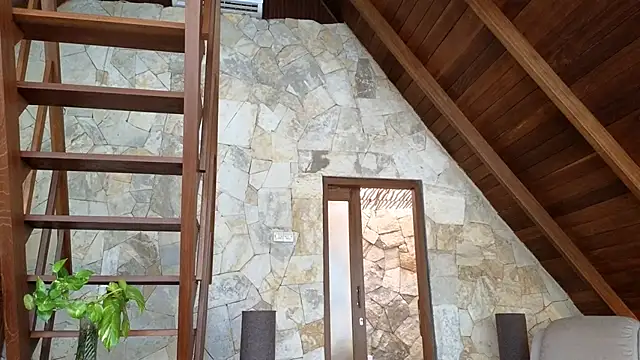 Cryptikov online show from 04-05-26, 08:21