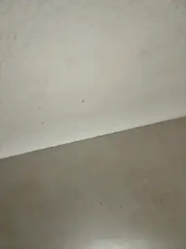 Ortegakim online show from 11-16-25, 05:28