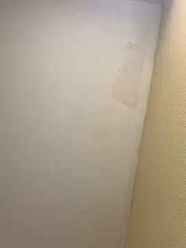 Snapshot of pinkangell chatting on 11-02-25, 07:41 pinkangell online show from 11-02-25, 07:41