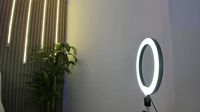 Snapshot of perla7777 chatting on 02-03-26, 02:00 perla7777 online show from 02-03-26, 02:00