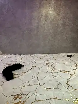 Snapshot of Charmoota_arab chatting on 02-11-25, 04:02 Charmoota arab online show from 02-11-25, 04:02