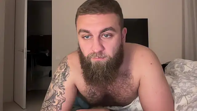 Bear bear  online show from 11-18-25, 07:50