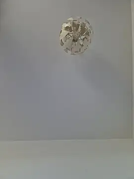 cuci45 online show from 11-01-25, 10:31