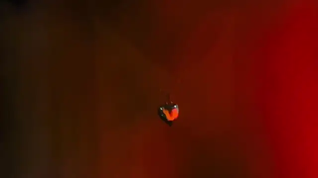 Youlittlepervertt  online show from 03-01-26, 11:49