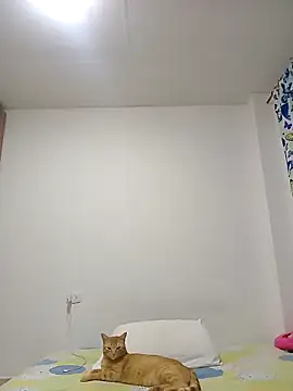 leah passion online show from 01-31-26, 11:14