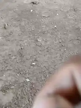 dheck2020 online show from 01-07-25, 06:45