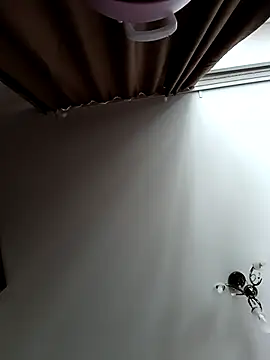 Lovers  Annn online show from 03-09-26, 03:10