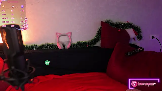 Snapshot of How2Meow chatting on 01-12-25, 05:44 How2Meow online show from 01-12-25, 05:44