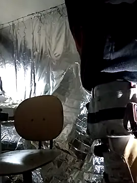 rexflexxx online show from 11-09-25, 11:47