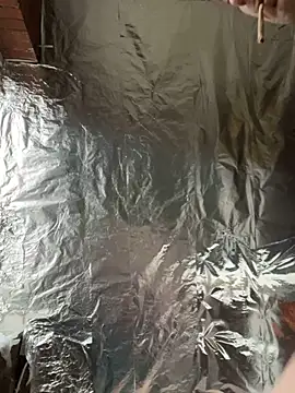 rexflexxx online show from 03-07-25, 04:44